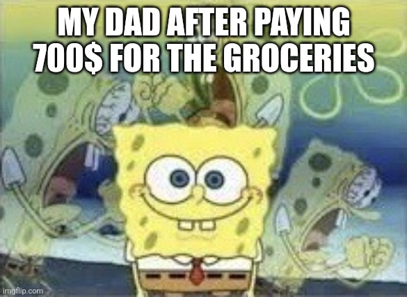 SpongeBob Internal Screaming | MY DAD AFTER PAYING 700$ FOR THE GROCERIES | image tagged in spongebob internal screaming | made w/ Imgflip meme maker