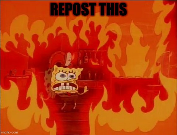 repost this | REPOST THIS | image tagged in burning spongebob | made w/ Imgflip meme maker