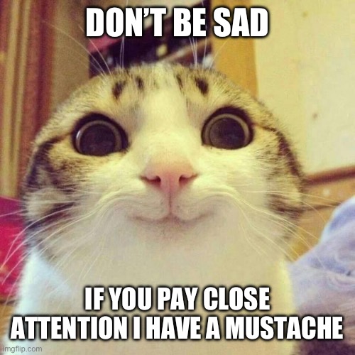 smiley cat | DON’T BE SAD; IF YOU PAY CLOSE ATTENTION I HAVE A MUSTACHE | image tagged in smiley cat,lol | made w/ Imgflip meme maker