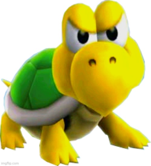 Koopa Overlord | image tagged in koopa overlord | made w/ Imgflip meme maker