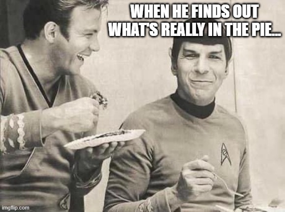 Vulcan Pie | WHEN HE FINDS OUT WHAT'S REALLY IN THE PIE... | image tagged in kirk and spock | made w/ Imgflip meme maker
