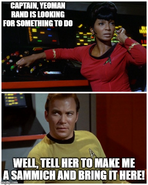 Useful Yoeman | CAPTAIN, YEOMAN RAND IS LOOKING FOR SOMETHING TO DO; WELL, TELL HER TO MAKE ME A SAMMICH AND BRING IT HERE! | image tagged in star trek hailing | made w/ Imgflip meme maker