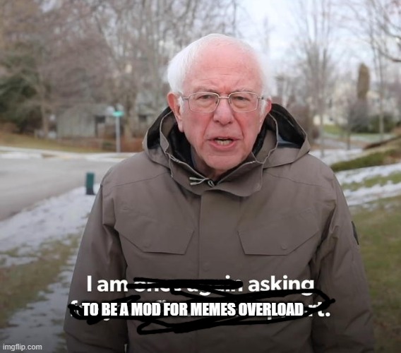 please i will help memes get more views | TO BE A MOD FOR MEMES OVERLOAD | image tagged in bernie financial support | made w/ Imgflip meme maker