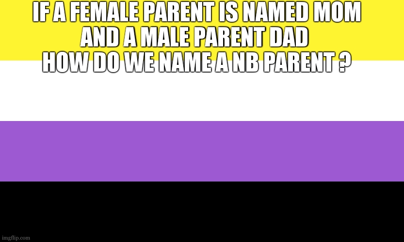 Nonbinary | IF A FEMALE PARENT IS NAMED MOM
AND A MALE PARENT DAD 
HOW DO WE NAME A NB PARENT ? | image tagged in nonbinary | made w/ Imgflip meme maker