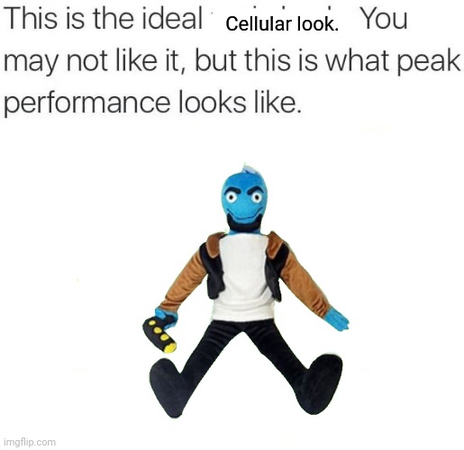 this is the ideal ___ | Cellular look. | image tagged in this is the ideal ___ | made w/ Imgflip meme maker