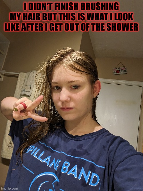 :) | I DIDN'T FINISH BRUSHING MY HAIR BUT THIS IS WHAT I LOOK LIKE AFTER I GET OUT OF THE SHOWER | image tagged in face reveal | made w/ Imgflip meme maker