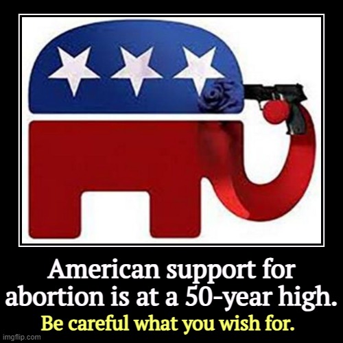 Didn't work, did it? | American support for abortion is at a 50-year high. | Be careful what you wish for. | image tagged in funny,demotivationals,abortion,support,roe v wade,dobbs | made w/ Imgflip demotivational maker