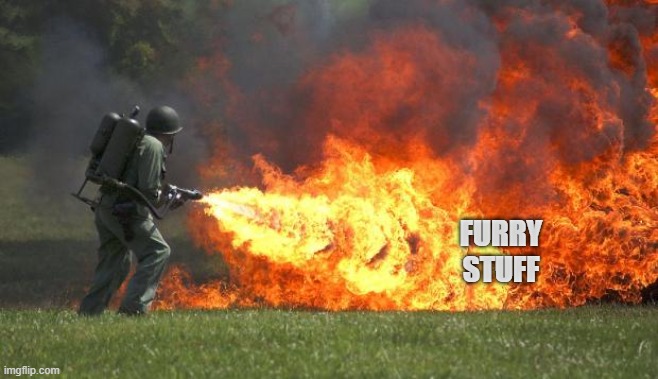 flamethrower | FURRY
STUFF | image tagged in flamethrower | made w/ Imgflip meme maker