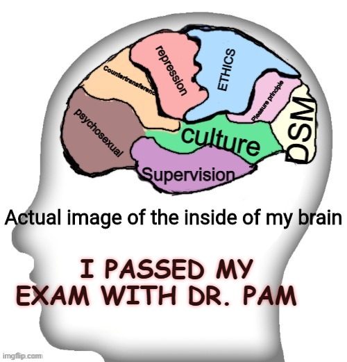 PASS YOU EXAM | ETHICS; repression; Countertransference; Pleasure principle; psychosexual; DSM; culture; Supervision; I PASSED MY EXAM WITH DR. PAM | image tagged in actual image of the inside of my brain | made w/ Imgflip meme maker