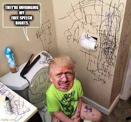 Will Trump ever grow up? | THEY'RE INFRINGING 
MY 
FREE SPEECH 
RIGHTS. | image tagged in trump baby infant toddler child toilet scribble walls,trump,baby,child,infant,toddler | made w/ Imgflip meme maker