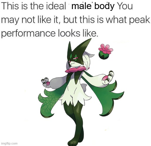 this is the ideal ___ | male body | image tagged in this is the ideal ___ | made w/ Imgflip meme maker