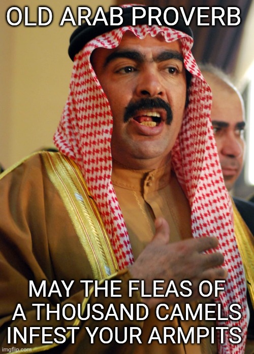 Arab proverbs | OLD ARAB PROVERB; MAY THE FLEAS OF A THOUSAND CAMELS INFEST YOUR ARMPITS | image tagged in funny memes | made w/ Imgflip meme maker