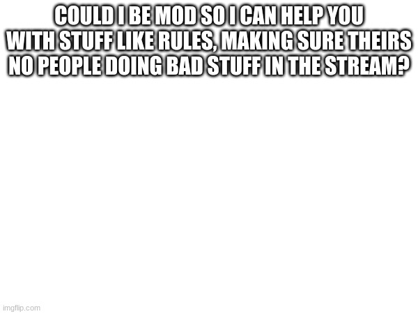 COULD I BE MOD SO I CAN HELP YOU WITH STUFF LIKE RULES, MAKING SURE THEIRS NO PEOPLE DOING BAD STUFF IN THE STREAM? | made w/ Imgflip meme maker