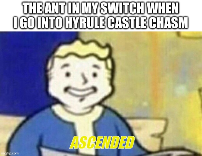 I'm gonna die | THE ANT IN MY SWITCH WHEN I GO INTO HYRULE CASTLE CHASM ASCENDED | image tagged in i'm gonna die | made w/ Imgflip meme maker