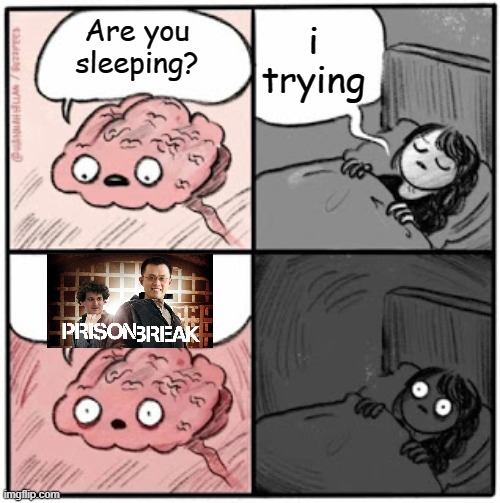 Cz and Sam | i trying; Are you sleeping? | image tagged in brain before sleep | made w/ Imgflip meme maker