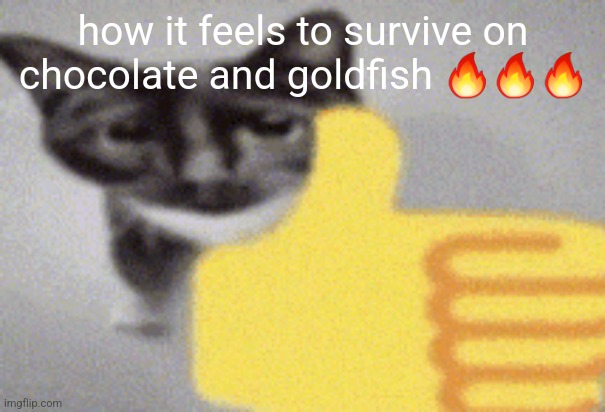 thumbs up cat | how it feels to survive on chocolate and goldfish 🔥🔥🔥 | image tagged in thumbs up cat | made w/ Imgflip meme maker