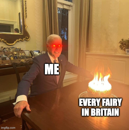 After LB6 | ME; EVERY FAIRY IN BRITAIN | image tagged in fate/grand order | made w/ Imgflip meme maker