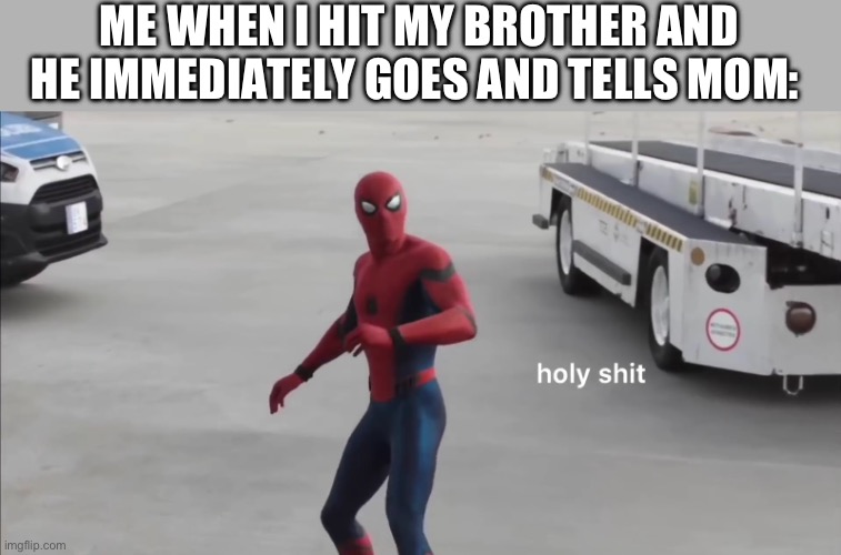 Lol | ME WHEN I HIT MY BROTHER AND HE IMMEDIATELY GOES AND TELLS MOM: | image tagged in holy shit | made w/ Imgflip meme maker