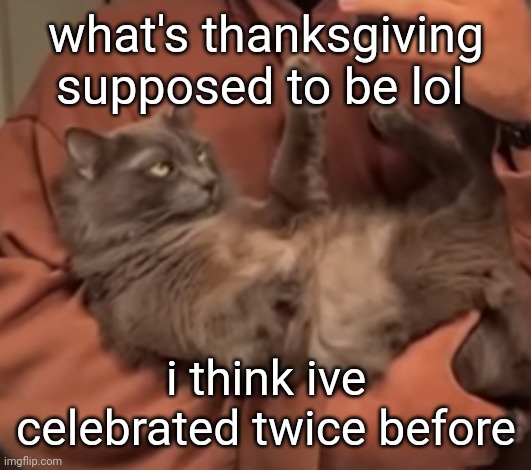 harveyyyy | what's thanksgiving supposed to be lol; i think ive celebrated twice before | image tagged in harveyyyy | made w/ Imgflip meme maker