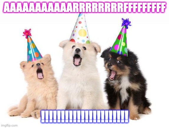 arf | AAAAAAAAAAARRRRRRRRFFFFFFFFF; !!!!!!!!!!!!!!!!!!!!!! | image tagged in happy birthday puppies | made w/ Imgflip meme maker
