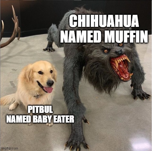 dog vs werewolf | CHIHUAHUA NAMED MUFFIN; PITBULL NAMED BABY EATER | image tagged in dog vs werewolf | made w/ Imgflip meme maker