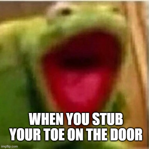 You know how it feels. | WHEN YOU STUB YOUR TOE ON THE DOOR | image tagged in ahhhhhhhhhhhhh | made w/ Imgflip meme maker