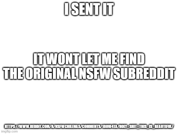 I SENT IT; IT WONT LET ME FIND THE ORIGINAL NSFW SUBREDDIT; HTTPS://WWW.REDDIT.COM/R/NSFWCHILENAS/COMMENTS/180W4TA/HOLY_SHIT_THIS_IS_BEAUTIFUL/ | made w/ Imgflip meme maker