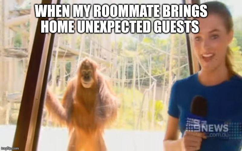 WHEN MY ROOMMATE BRINGS HOME UNEXPECTED GUESTS | image tagged in funny memes | made w/ Imgflip meme maker