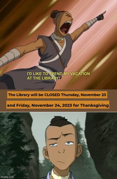My vacation | image tagged in holidays,library,books,disappointment,avatar the last airbender,avatar | made w/ Imgflip meme maker