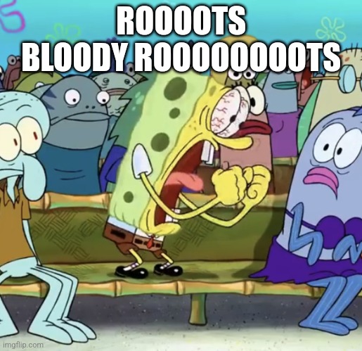 ROOOOOOOOTS! BLOODY ROOOOOOOOOTS! | ROOOOTS
BLOODY ROOOOOOOOTS | image tagged in spongebob yelling | made w/ Imgflip meme maker
