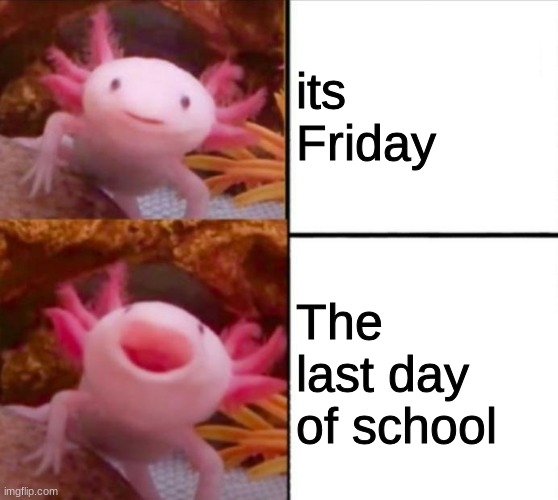 axolotl drake | its Friday; The last day of school | image tagged in axolotl drake | made w/ Imgflip meme maker