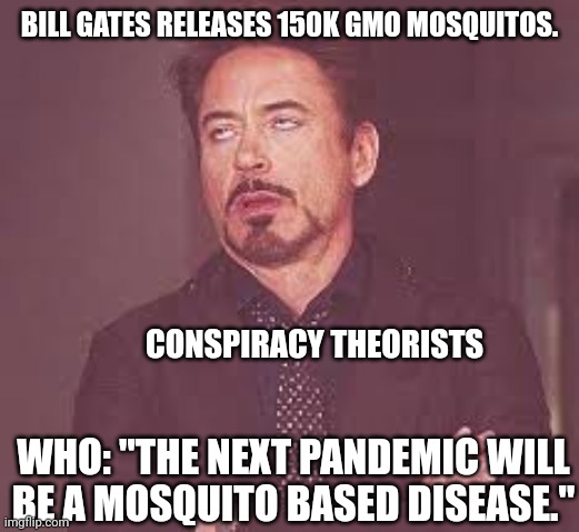 Spoiler alert | BILL GATES RELEASES 150K GMO MOSQUITOS. CONSPIRACY THEORISTS; WHO: "THE NEXT PANDEMIC WILL BE A MOSQUITO BASED DISEASE." | image tagged in sigh | made w/ Imgflip meme maker