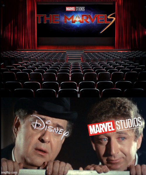 The Marvel's Is Still A Flop! | image tagged in marvel,disney,mel brooks | made w/ Imgflip meme maker