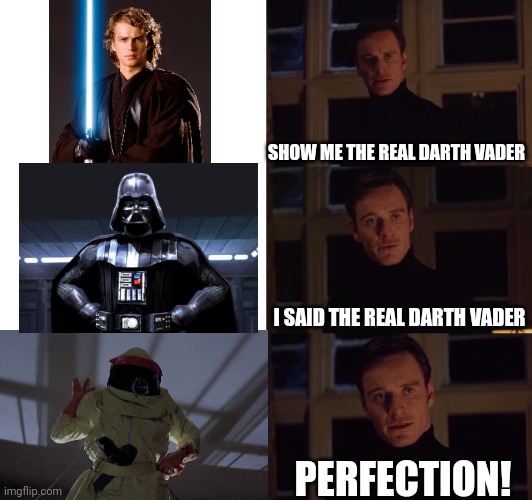 DARTH VADER FROM THE PLANET VULCAN | SHOW ME THE REAL DARTH VADER; I SAID THE REAL DARTH VADER; PERFECTION! | image tagged in perfection,star wars,back to the future,star wars meme | made w/ Imgflip meme maker