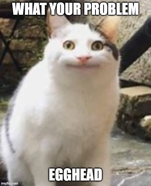 Beluga cat sus | WHAT YOUR PROBLEM; EGGHEAD | image tagged in beluga cat sus | made w/ Imgflip meme maker