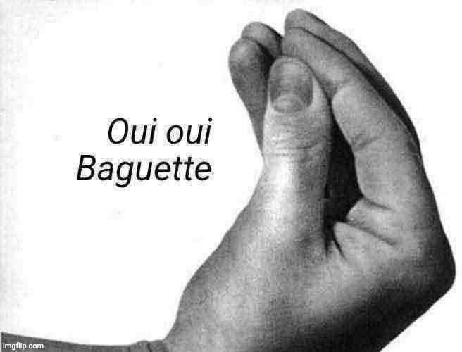 Oui oui baguette Blank Meme Template