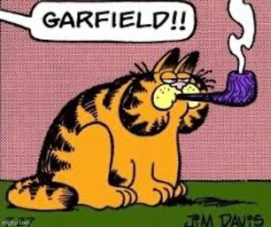 Garfield!! | image tagged in garfield | made w/ Imgflip meme maker