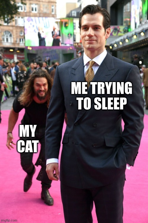 cats r weird | ME TRYING TO SLEEP; MY CAT | image tagged in jason momoa henry cavill meme | made w/ Imgflip meme maker