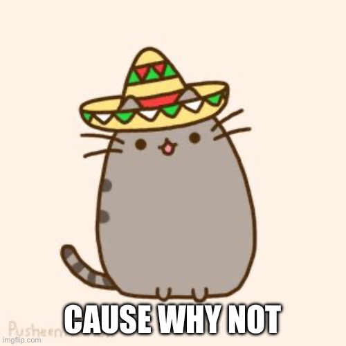 Taco Pusheen (cause why not?) | CAUSE WHY NOT | image tagged in taco pusheen cause why not | made w/ Imgflip meme maker