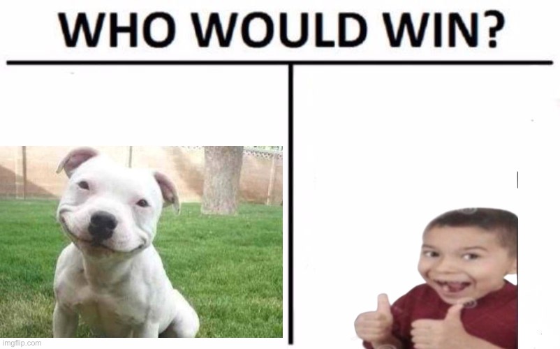 Who Would Win? Meme | image tagged in memes,who would win | made w/ Imgflip meme maker