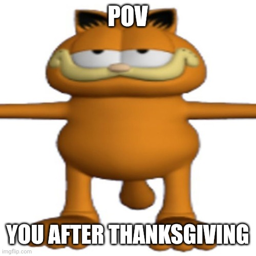 t posing garfeild | POV; YOU AFTER THANKSGIVING | image tagged in t posing garfeild | made w/ Imgflip meme maker