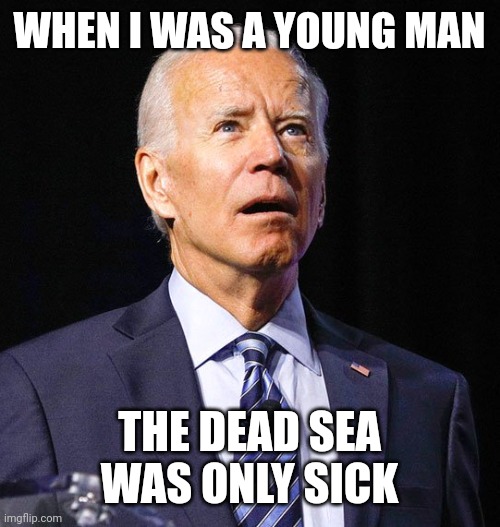 Joe Biden | WHEN I WAS A YOUNG MAN THE DEAD SEA WAS ONLY SICK | image tagged in joe biden | made w/ Imgflip meme maker