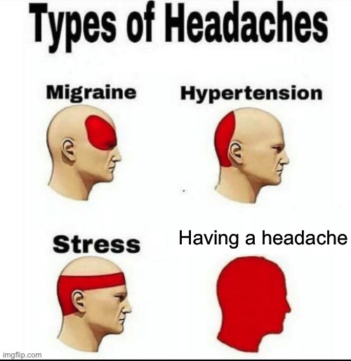 Types of Headaches meme | Having a headache | image tagged in types of headaches meme | made w/ Imgflip meme maker