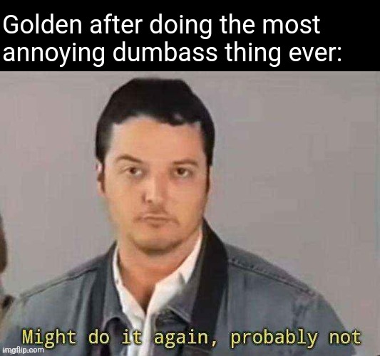 Chrono Might do it again, probably not | Golden after doing the most annoying dumbass thing ever: | image tagged in chrono might do it again probably not | made w/ Imgflip meme maker