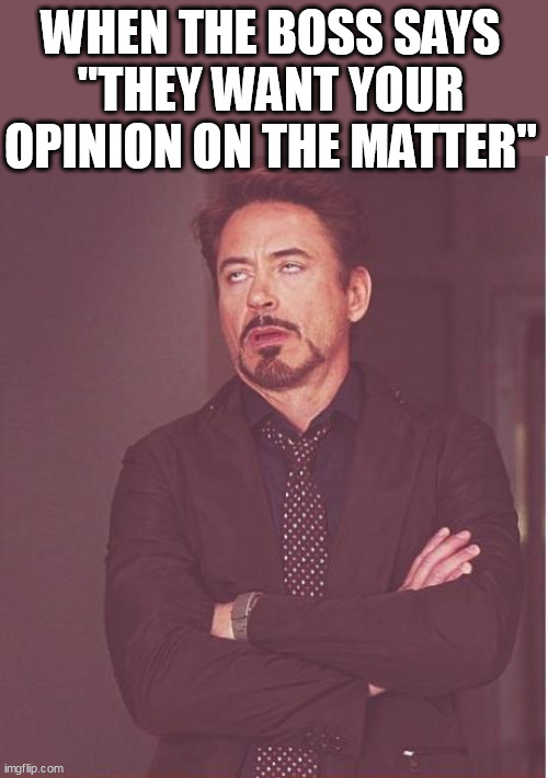 When the boss says "they want your opinion on the matter" | WHEN THE BOSS SAYS "THEY WANT YOUR OPINION ON THE MATTER" | image tagged in memes,face you make robert downey jr,funny,boss,work,employee | made w/ Imgflip meme maker