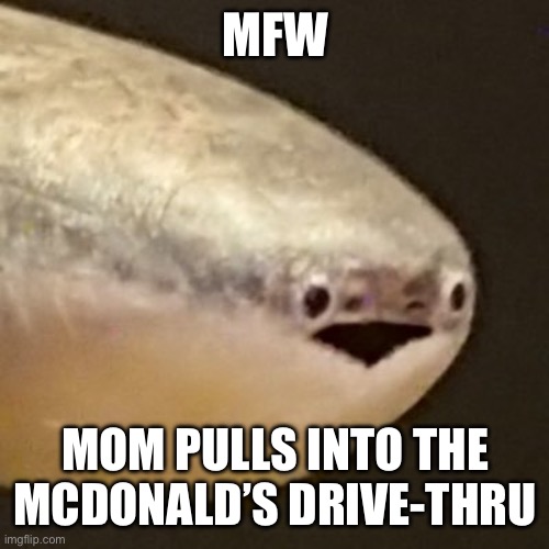 It do be like that | MFW; MOM PULLS INTO THE MCDONALD’S DRIVE-THRU | image tagged in live sacabambaspis reaction | made w/ Imgflip meme maker
