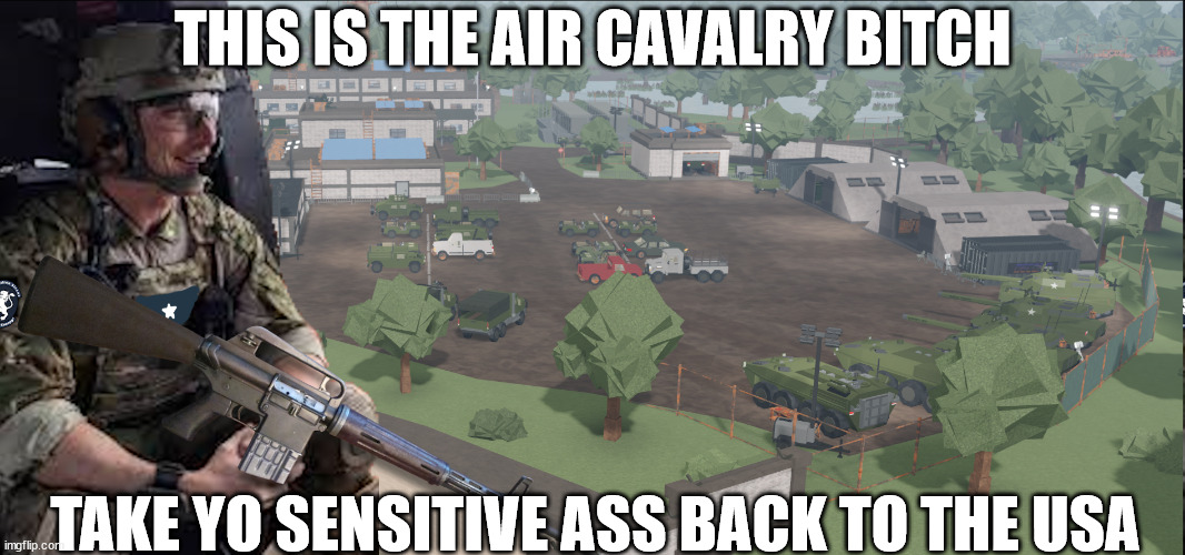 PRT Clowning | THIS IS THE AIR CAVALRY BITCH; TAKE YO SENSITIVE ASS BACK TO THE USA | image tagged in tidewater,people's republic of tidewater | made w/ Imgflip meme maker