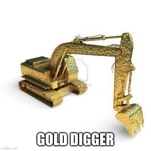 gold digger | GOLD DIGGER | image tagged in gold digger | made w/ Imgflip meme maker
