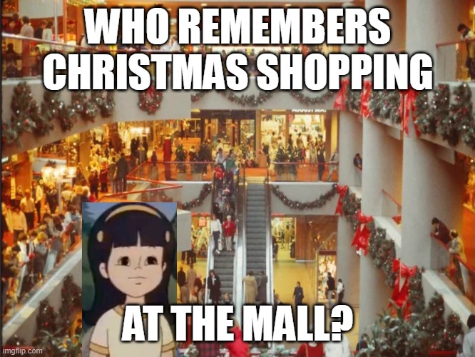 Christmas Shopping At The Mall | WHO REMEMBERS
CHRISTMAS SHOPPING; AT THE MALL? | image tagged in mall | made w/ Imgflip meme maker
