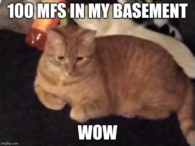 Kewl | 100 MFS IN MY BASEMENT; WOW | image tagged in goose | made w/ Imgflip meme maker